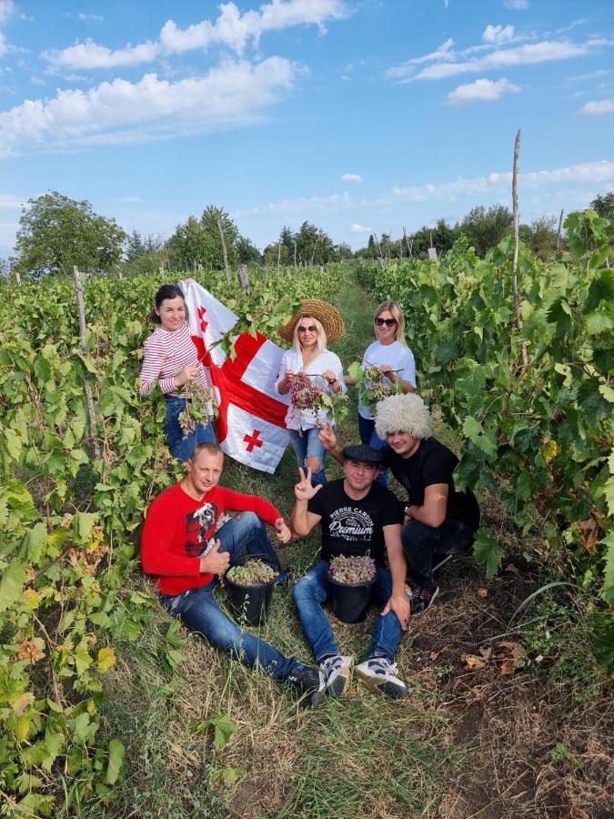 Brothers Khutsishvili Wine Cellar Kisiskhevi Esterno foto